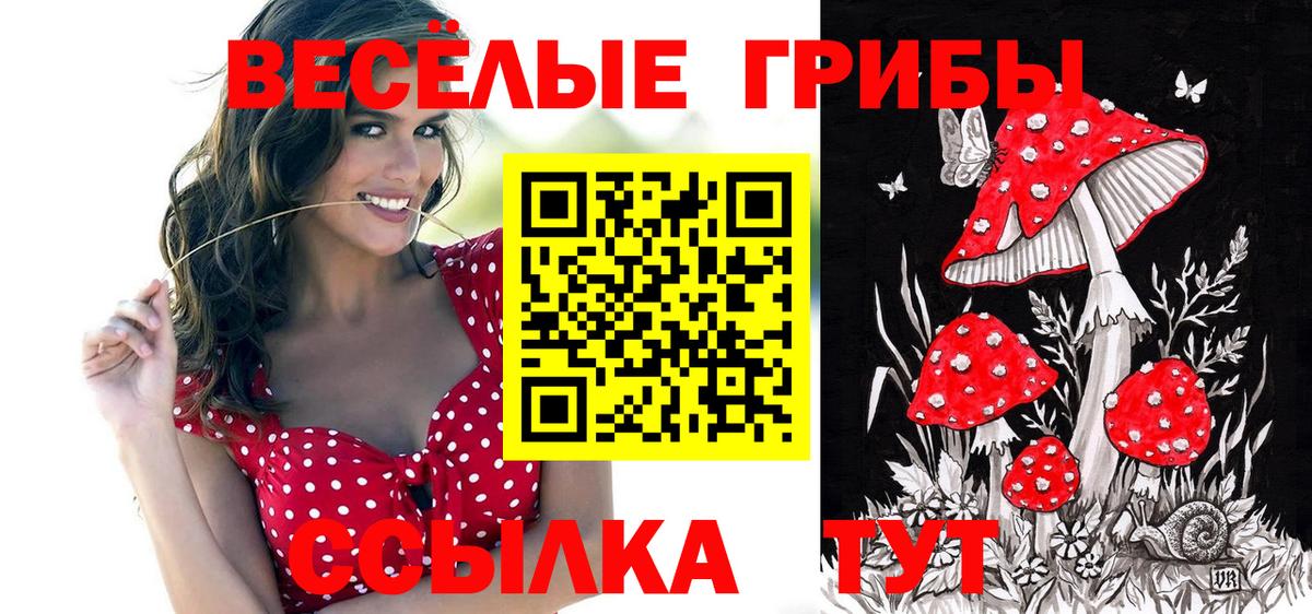 Галлюциногенные грибы мухоморы Петрозаводск